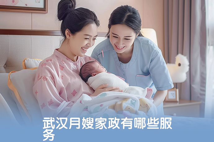 武汉月嫂家政有哪些服务-58同城