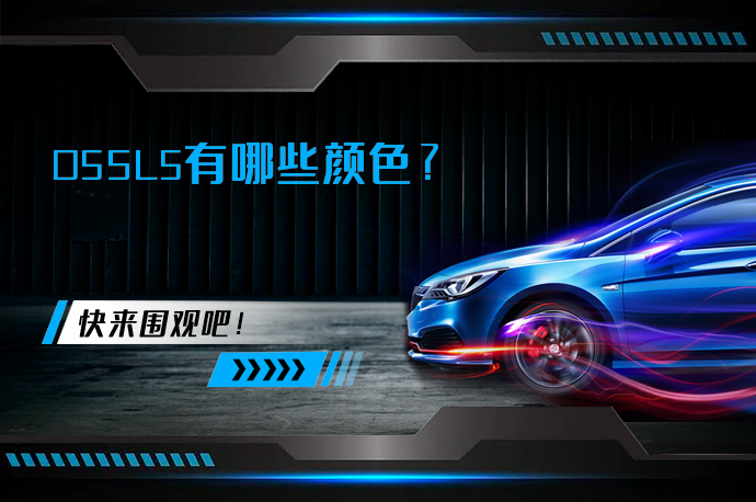 DS5LS有哪些颜色_58汽车