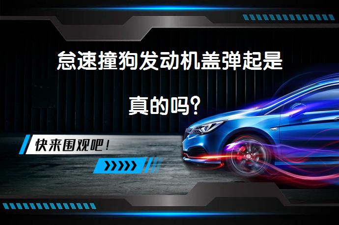 怠速撞狗发动机盖弹起是真的吗？_58汽车