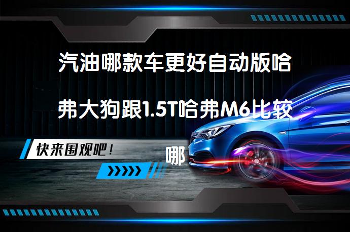 汽油哪款车更好自动版哈弗大狗跟1.5T哈弗M6比较哪个性价比高？_58汽车