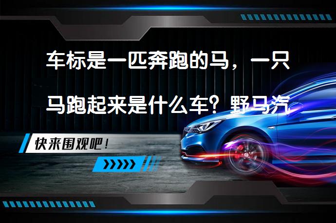 车标是一匹奔跑的马，一只马跑起来是什么车？野马汽车的传奇故事_58汽车