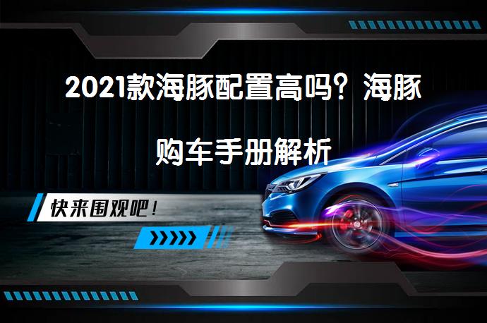 2021款海豚配置高吗？海豚购车手册解析_58汽车