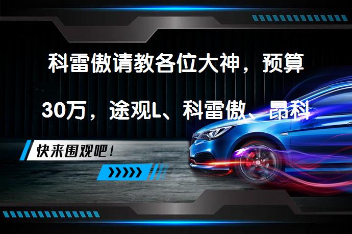 科雷傲请教各位大神，预算30万，途观L、科雷傲、昂科威等如何选？怎么选？_58汽车