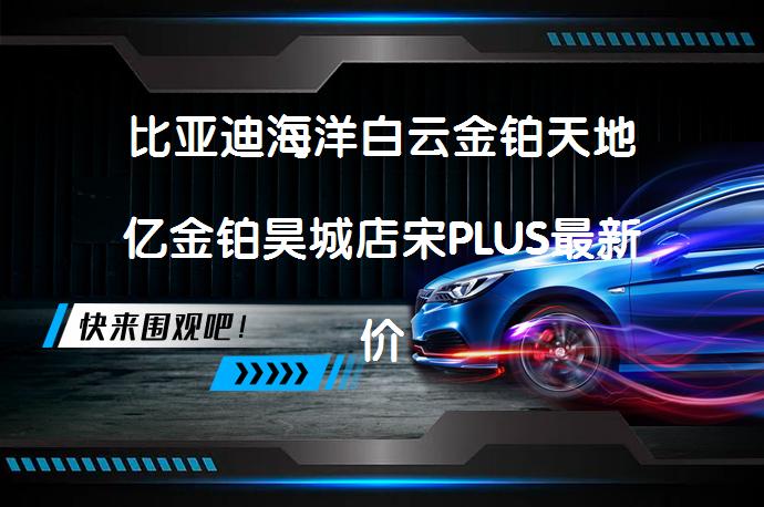 比亚迪海洋白云金铂天地亿金铂昊城店宋PLUS最新价格表可试乘试驾吗？_58汽车
