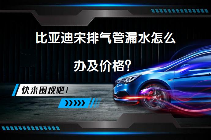 比亚迪宋排气管漏水怎么办及价格？_58汽车