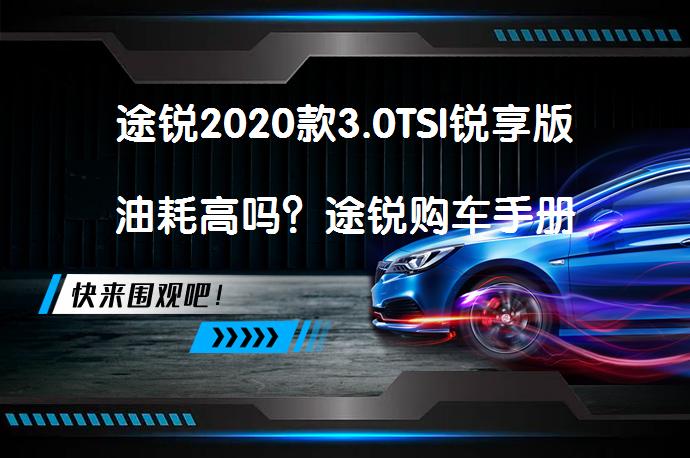 途锐2020款3.0TSI锐享版油耗高吗？途锐购车手册_58汽车