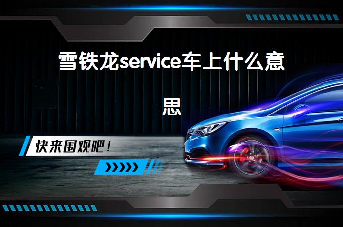 雪铁龙service车上什么意思_58汽车