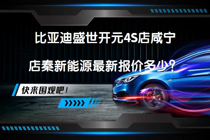 比亚迪盛世开元4S店咸宁店秦新能源最新报价多少？_58汽车