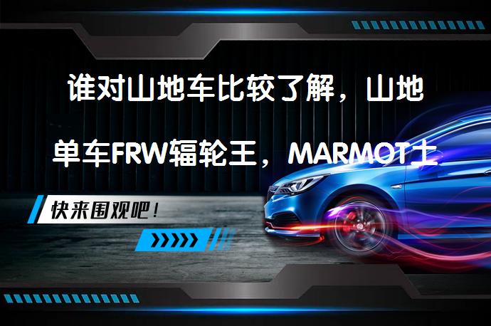 谁对山地车比较了解，山地单车FRW辐轮王，MARMOT土拨鼠，泰勒TYRELL等那个品牌比较好？_58汽车