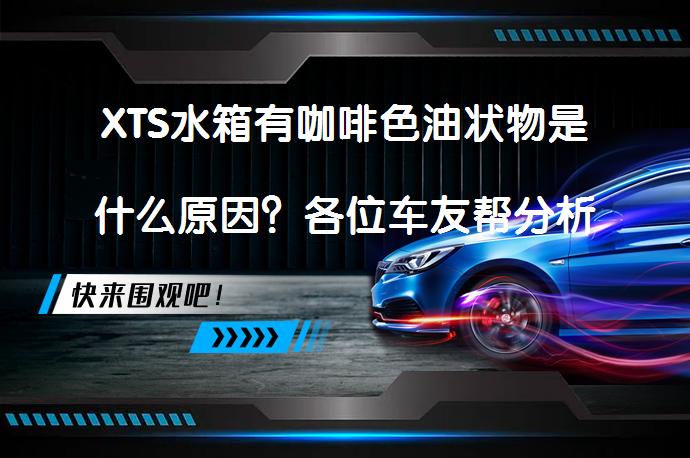 XTS水箱有咖啡色油状物是什么原因？各位车友帮分析分析？_58汽车