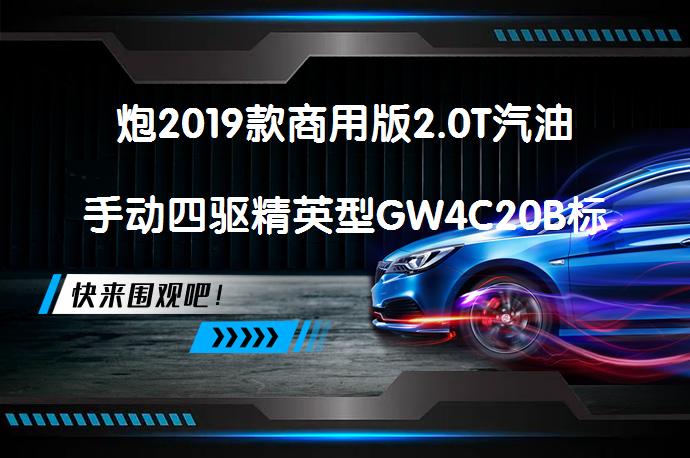 炮2019款商用版2.0T汽油手动四驱精英型GW4C20B标箱功能强吗？是否值得选择？_58汽车