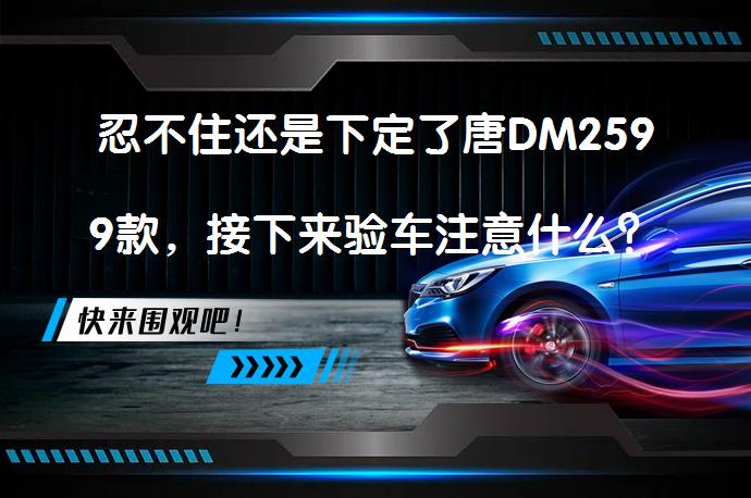 忍不住还是下定了唐DM2599款，接下来验车注意什么？_58汽车