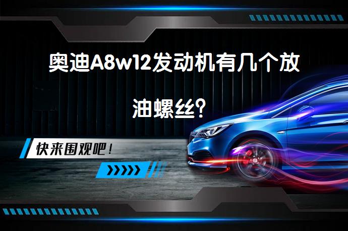 奥迪A8w12发动机有几个放油螺丝？_58汽车