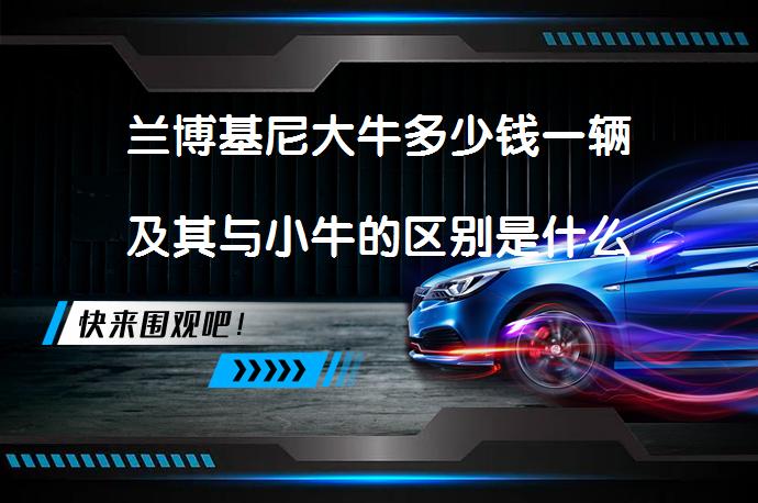 兰博基尼大牛多少钱一辆及其与小牛的区别是什么_58汽车